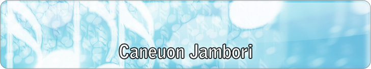 Caneuon Jambori