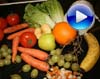 nutrition video